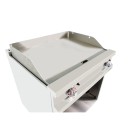 Frytop à gaz en acier rectifié 800x700x900h mm 80FRYGR70 EASY 700 - 80FRYGR70