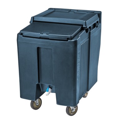 ICS125T191