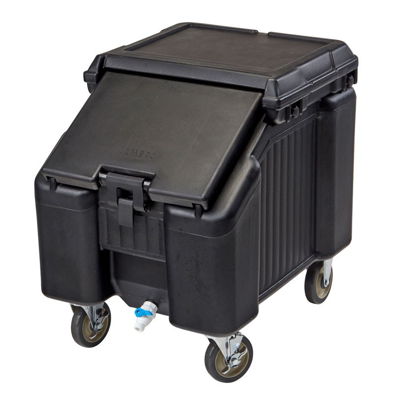 ICS100L110