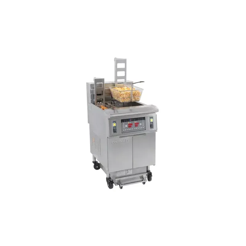 Friteuse électrique avec relevage automatique et filtration 12+22 L 8,5+17kW