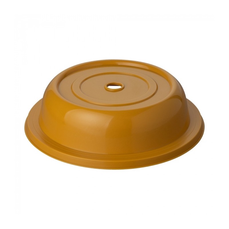 cloche couvre-assiette Ø24,3cm - 023018