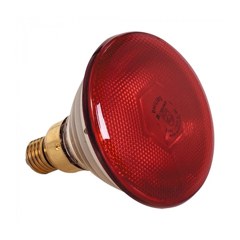 lampe chauffante 175W - 093500