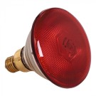 lampe chauffante 175W - 093500