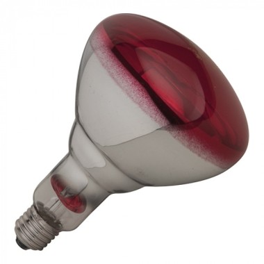 lampe chauffante 250W - 710205