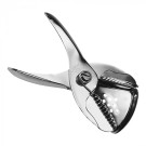 presse citron - 041011