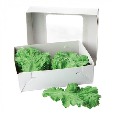 verdure décoration - 828010