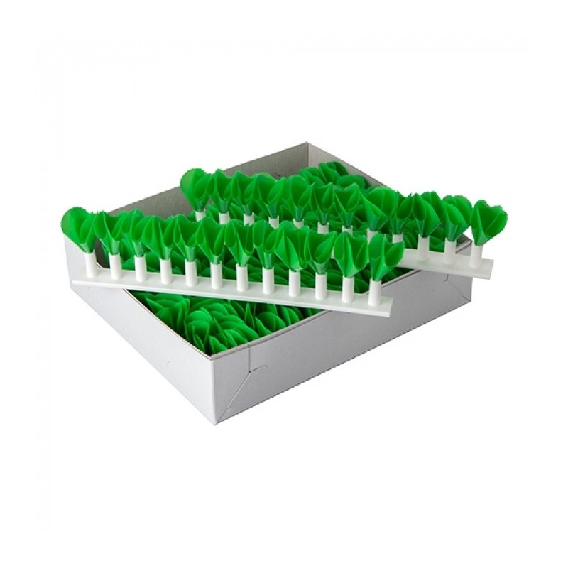 verdure décoration - 828001