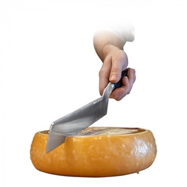 Couteau à fromage 21cm - Boska -  ref: 885012