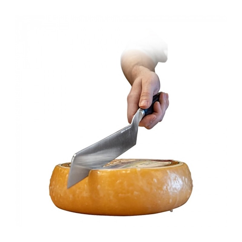 Couteau à fromage 21cm - Boska -  ref: 885012