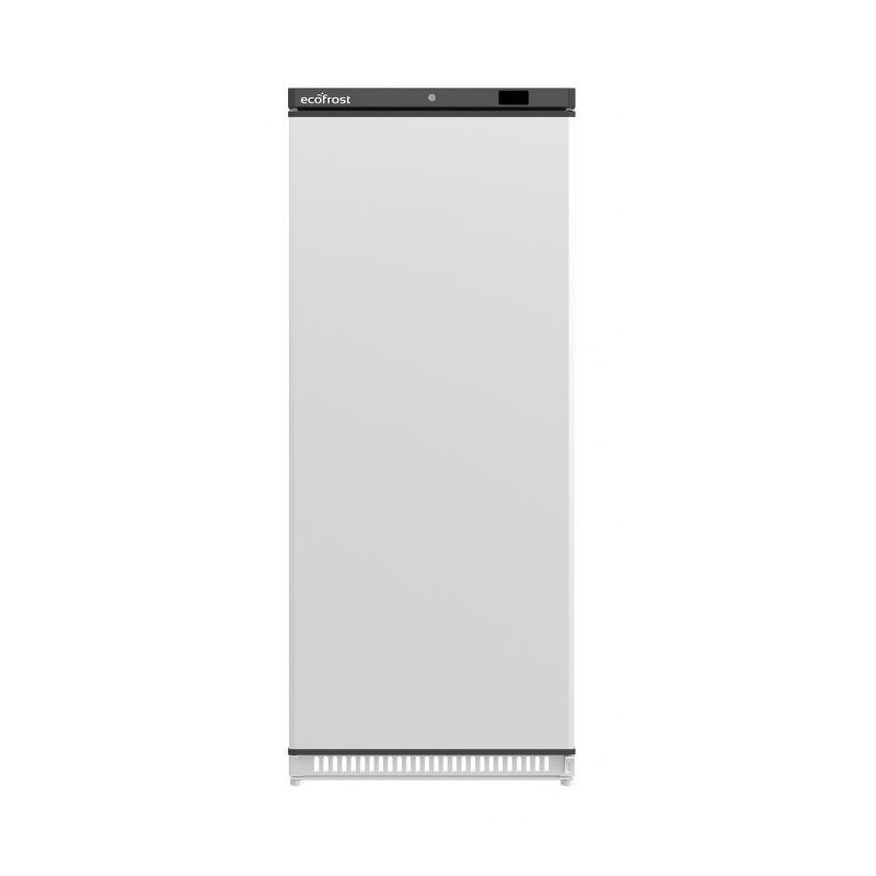 Congélateur Professionnel Blanc 600L Ecofrost - Performance et Efficacité