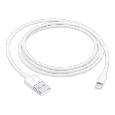 Câble USB / Lightning 1 m APPLE  - Fiducial