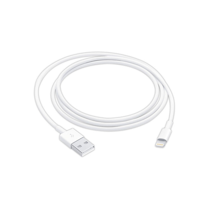 Câble USB / Lightning 1 m APPLE  - Fiducial