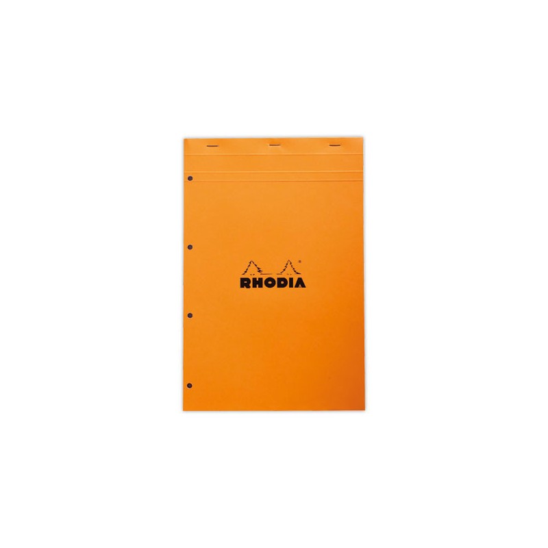 Bloc Rhodia A4+ 21x32 cm, 80 feuilles,5x5, 80g perfo 4 trous  - Fiducial