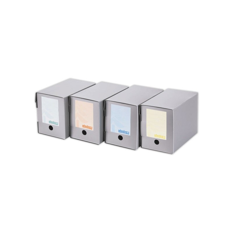 Boîtes à archives en polypropylène EXTENDOS - Dos de 20 cm  x10 - Fiducial