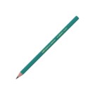 Crayons graphite BIC EVOLUTION 650 HB  x12 - Fiducial