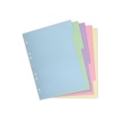 Jeu d'intercalaires carte forte recyclée 3/10e format A4-12 positions  - Fiducial