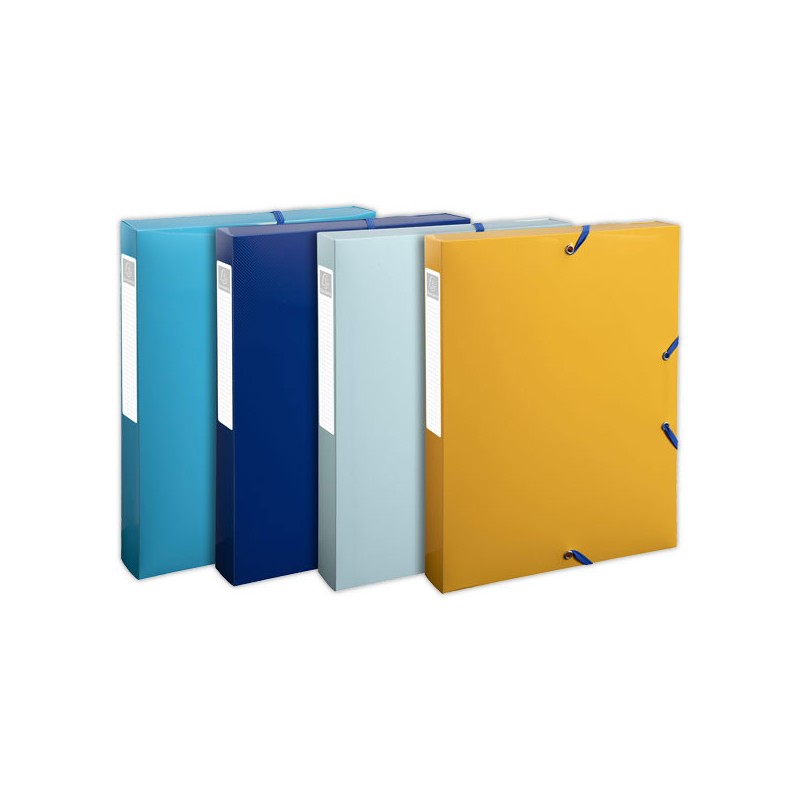 Boîte de classement PP recyclé BeeBluedos dos 4 cm - Assortis  - Fiducial
