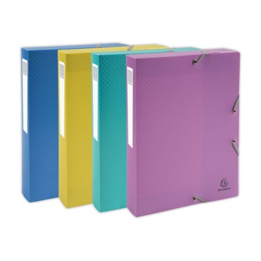 Boîte de classement FOREVER YOUNG - Assortis  - Fiducial