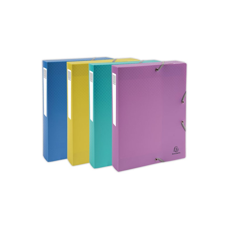 Boîte de classement FOREVER YOUNG - Assortis  - Fiducial