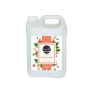 Bidon de savon BOLDAIR parfum Pêche - 5L  - Fiducial