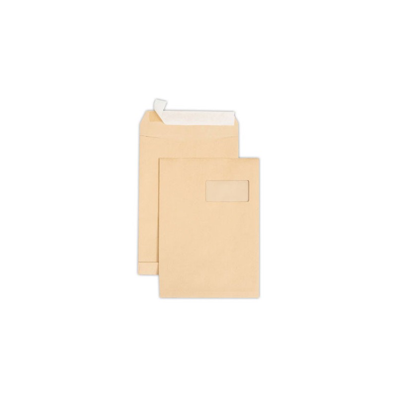 Pochettes kft adour autocollantes 220x315mm avec fenêtre 50x100mm 90g  x250 - Fiducial