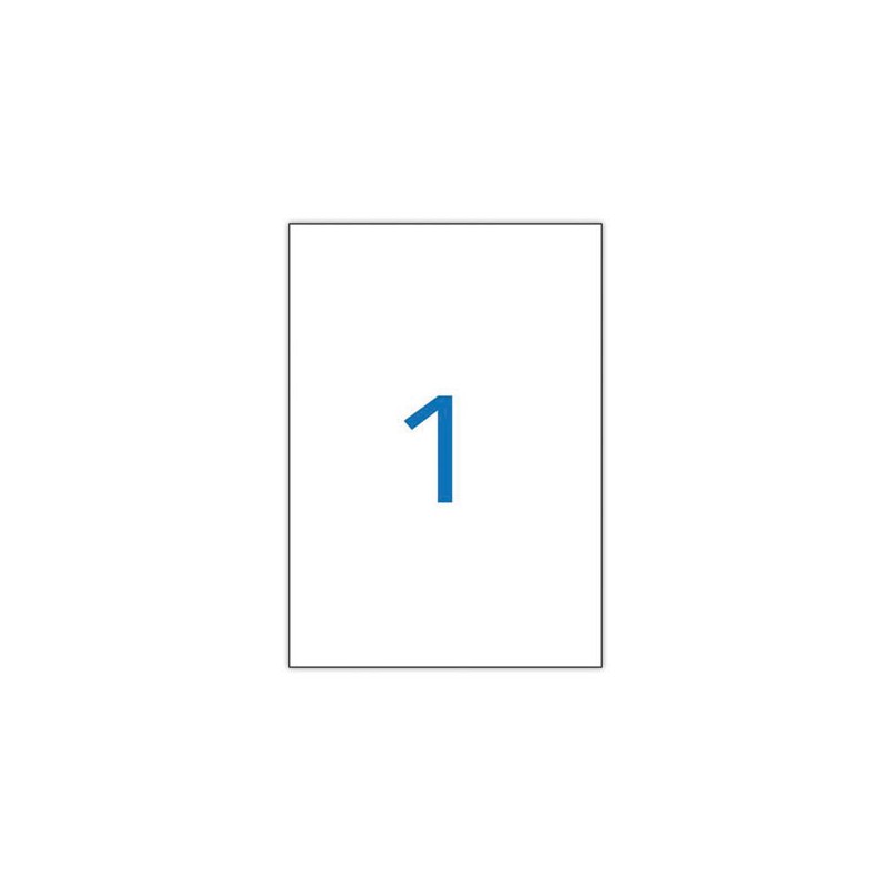 planches de 1 étiquette de signalisation, 210x297 mm, 100% recyclé  x100 - Fiducial