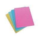 Chemises carte économiques coloris assortis pastel 24x32 cm  x100 - Fiducial