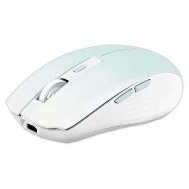 Souris gradient Dual Connect bleue  - Fiducial