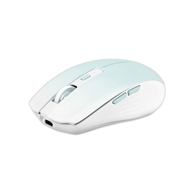 Souris gradient Dual Connect bleue  - Fiducial