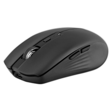 Souris gradient Dual Connect noire  - Fiducial