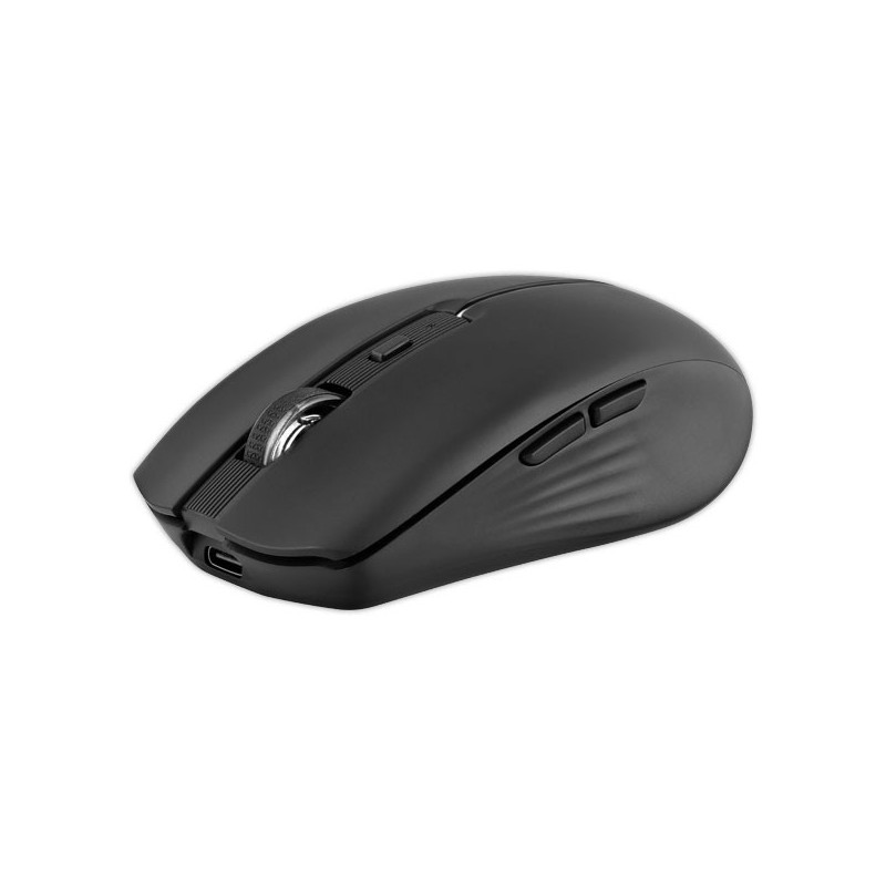 Souris gradient Dual Connect noire  - Fiducial