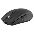 Souris gradient Dual Connect noire  - Fiducial