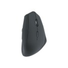 Souris ergonomique verticale sans fil droitier ERGO  - Fiducial