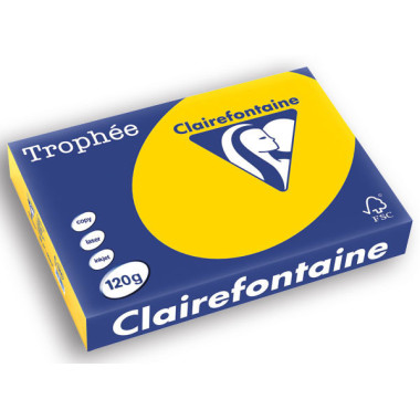 Ramette de 250 feuilles de papier Trophée A4 120g bouton d'or  - Fiducial