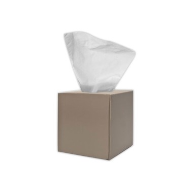 Boite distributrice 90 mouchoirs 19.6 x 20cm  - Fiducial