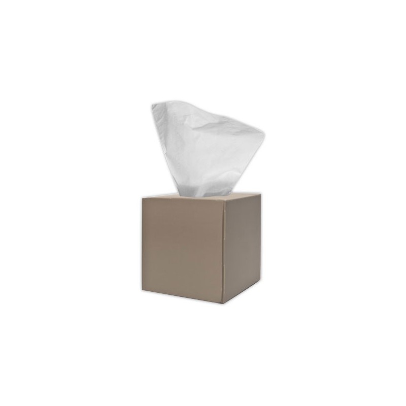 Boite distributrice 90 mouchoirs 19.6 x 20cm  - Fiducial