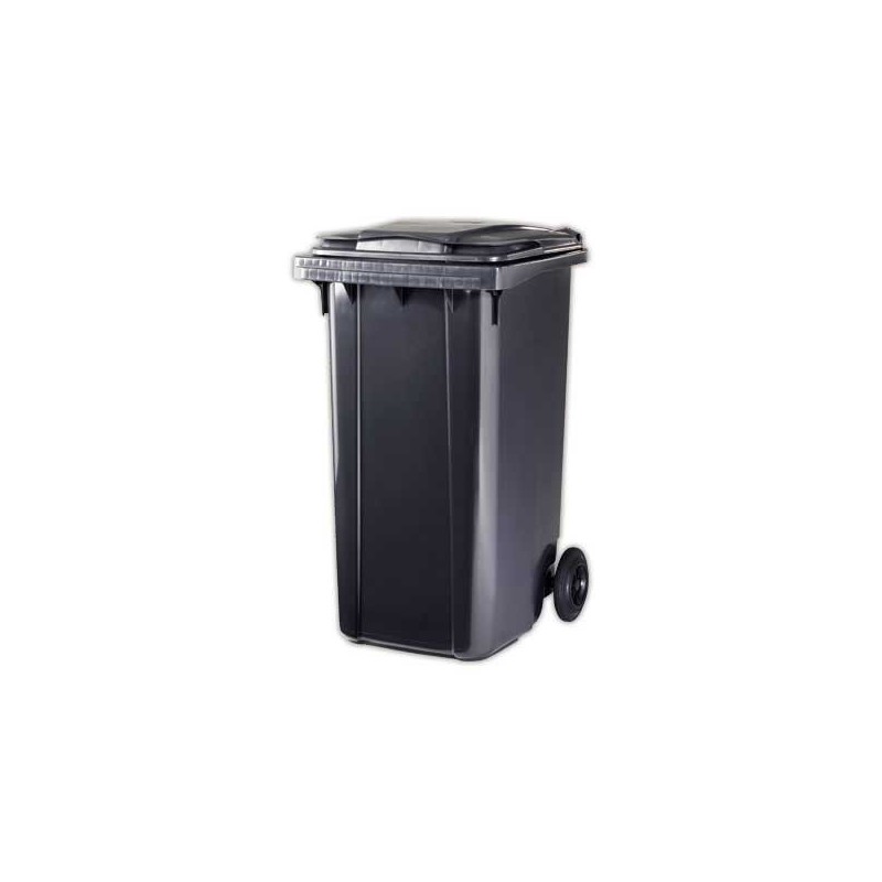 Container 2 roulettes 240 litres avec couvercle  - Fiducial