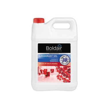 Bidon de nettoyant désinfectant surodorant Boldair - 5 litres  - Fiducial