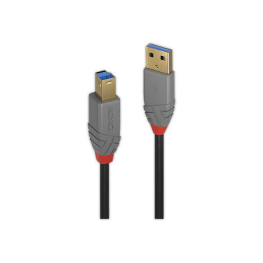 Câble USB 2.0 Type A mâle / B mâle long 1m. LINDY  - Fiducial