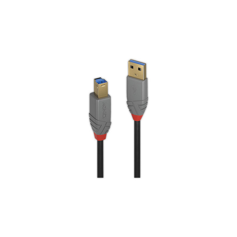 Câble USB 2.0 Type A mâle / B mâle long 1m. LINDY  - Fiducial