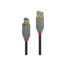 Câble USB 2.0 Type A mâle / B mâle long 1m. LINDY  - Fiducial