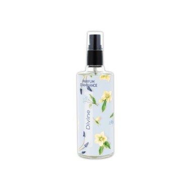 Vaporisateur Vapolux Divine  - Fiducial