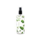 Vaporisateur Fresh mint 125ml  - Fiducial