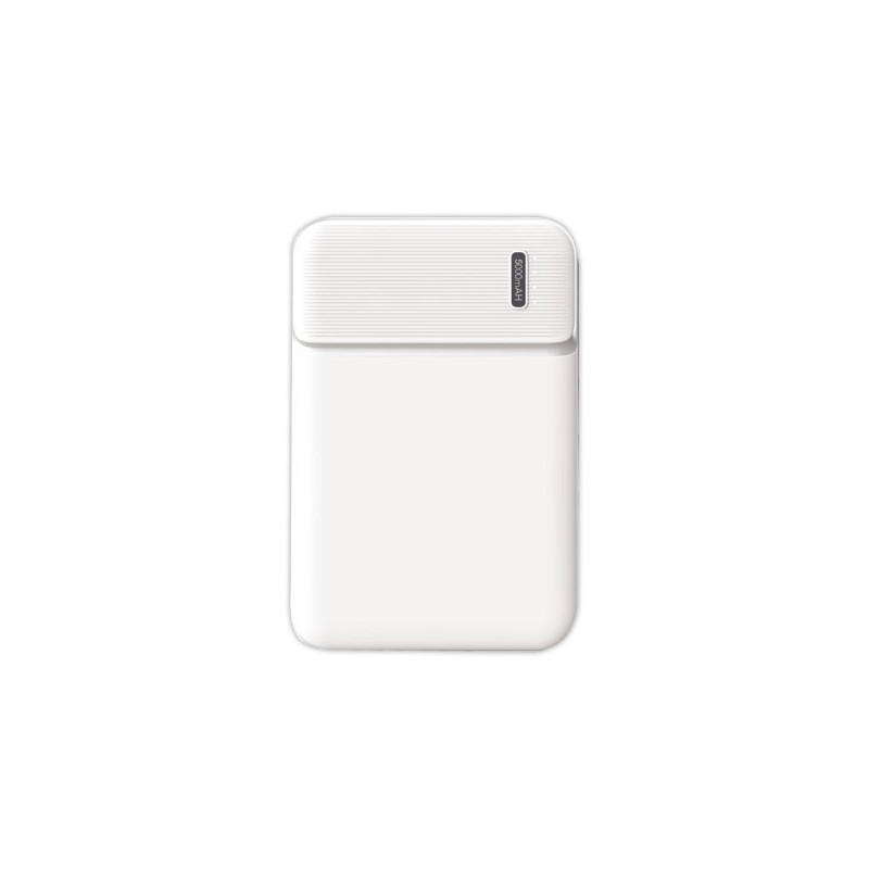 Batterie de secours 5000 MAH  - Fiducial