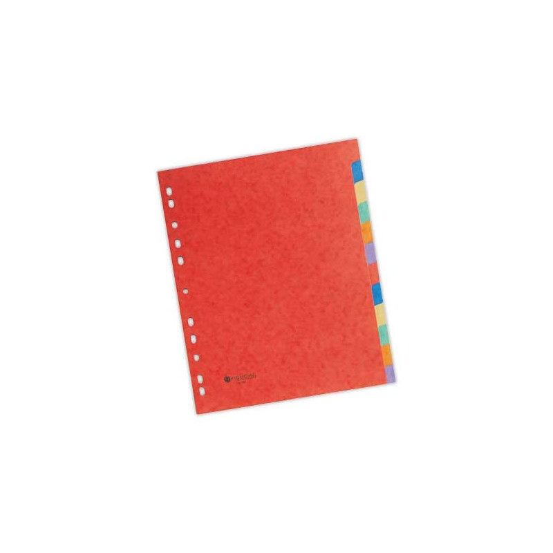 Jeu d'intercalaires FIDUCIAL Carte lustree 3/10 A+ 12 touches  - Fiducial