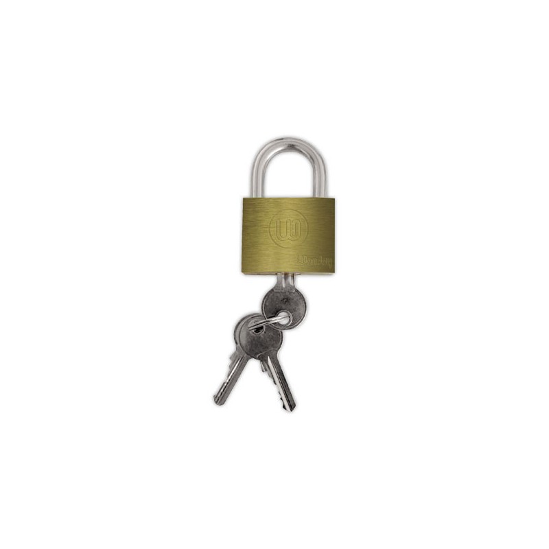 Cadenas de sûreté en laiton double ancrage mécanisme à goupilles 40 mm  - Fiducial