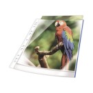 pochettes perforées A4 bord bleu  x25 - Fiducial