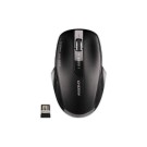 Souris CHERRY sans fil MW-2310 2.0 nano USB noir  - Fiducial