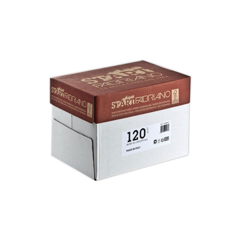Feuilles de papier dessin format A4 120g  x250 - Fiducial