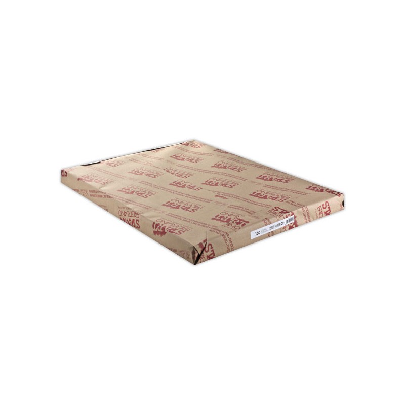 Feuilles de papier dessin format raisin (50 x 65 cm) 160g  x200 - Fiducial